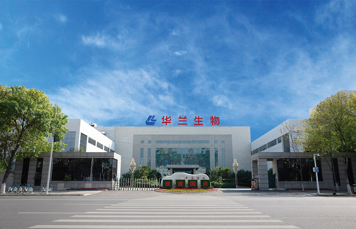 凯发k8国际首页登录风采